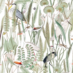 Herons in marsh, on white, medium scale