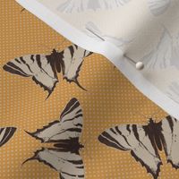 Swallowtail Butterfly Migration - Espresso, Bone, Apple Cider - medium