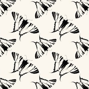 Swallowtail Butterfly Migration - Black Cream - medium