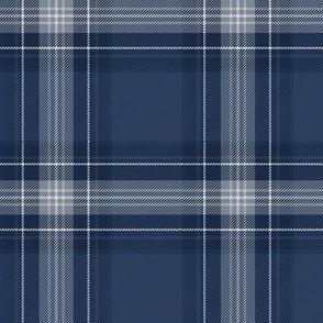 small // plaids in monochromatic navy blue