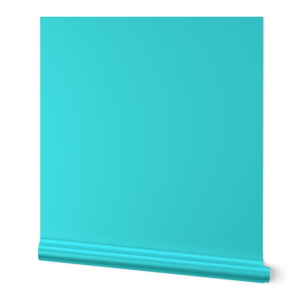 Cheerful Solid 00fafd Solid Color