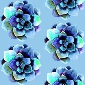 Succulent Blue