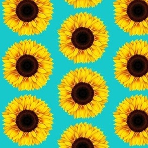 Favorite Sunflower Bloom on Blue