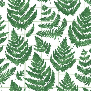 Green fern on green checkered background