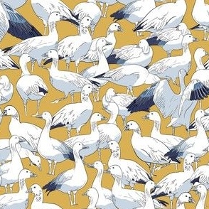 Flock of Snow Geese Birds in Golden Yellow and Blues