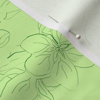 Sketched Hibiscus Green on Green