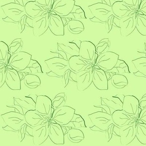 Sketched Hibiscus Green on Green