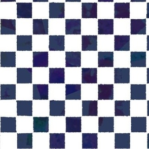 Cut Paper Variegated Checks Space Cadet and White