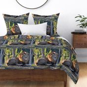 African Lion for Pillow