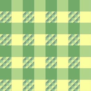 Green and Yellow Fancy Gingham