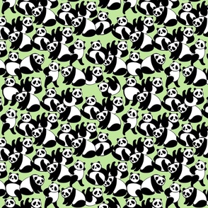 X SMALL - Black & White Panda Playground - Green - 10.5X10.5in