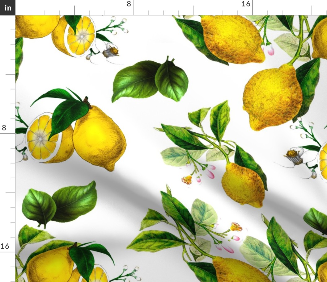 Lemons,citrus,Amalfi style,summer art