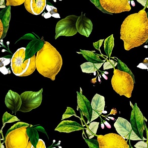 Lemons,citrus,Amalfi style,summer art,black background 