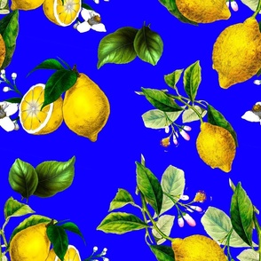 Lemons,citrus,Amalfi style art,blue background 