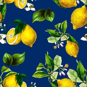 Lemons,citrus,Amalfi style art,navy background 