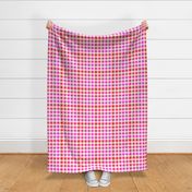 Cheerful Check Gingham Pattern in Summer Fruit Colors