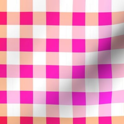 Cheerful Check Gingham Pattern in Summer Fruit Colors