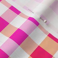 Cheerful Check Gingham Pattern in Summer Fruit Colors