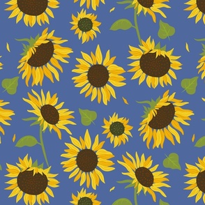 Sunflowers on blue background