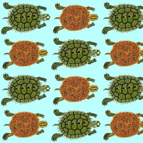 Map and Florida Cooter Turtles on light blue large