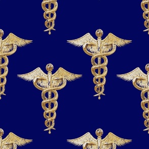 Large Registered Nurse Gold Caduceus on Blue
