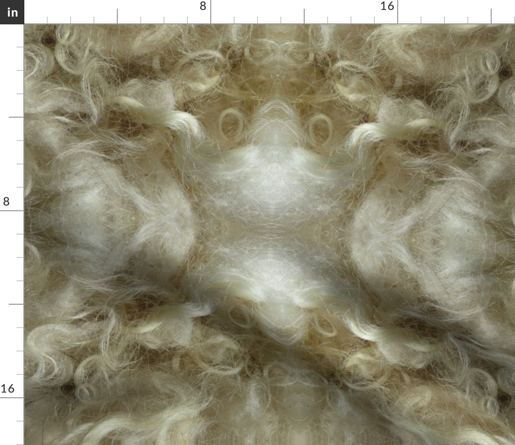 Minnesota natural color Icelandic lamb wool fleece #12