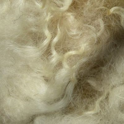 Minnesota natural color Icelandic lamb wool fleece #11