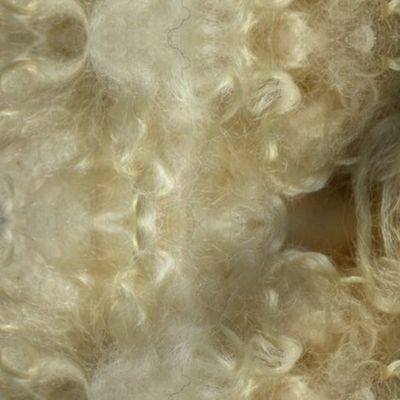 Minnesota natural color Icelandic lamb wool fleece #14