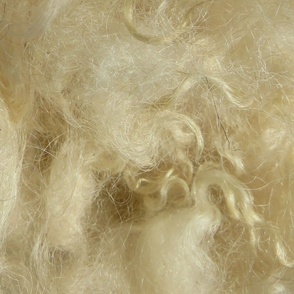 Minnesota natural color Icelandic lamb wool fleece #8