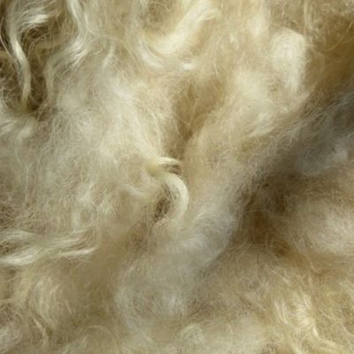 Minnesota natural color Icelandic lamb wool fleece #7