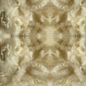 Minnesota natural color Icelandic lamb wool fleece #7