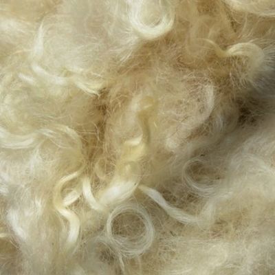 Minnesota natural color Icelandic lamb wool fleece #10