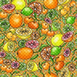 Checkered Citrus Orange