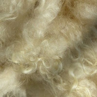 Minnesota natural color Icelandic lamb wool fleece #6