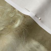 Minnesota natural color Icelandic lamb wool fleece #6