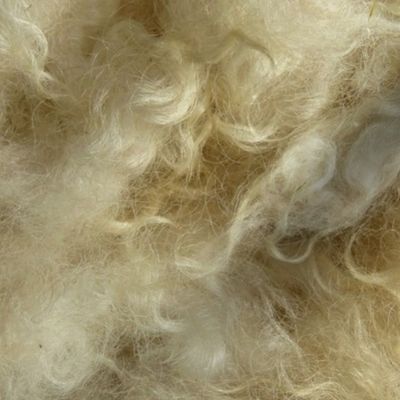 Minnesota natural color Icelandic lamb wool fleece #3