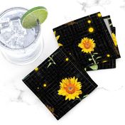 Sunflowers with black background
