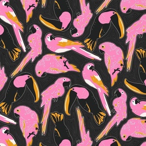 Pink Birds 