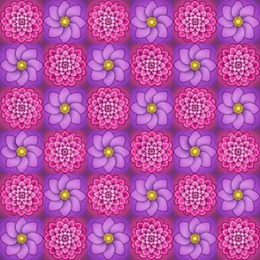 pink and purple dahlia checkers