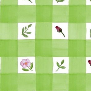 Rose check green Be5