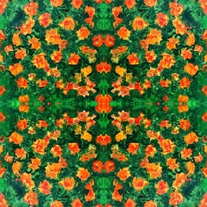 Orange and Green 