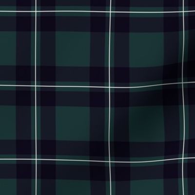 Traditional christmas plaid design for autumn gingham check design in neutral pine green
