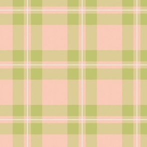 Traditional plaid design for autumn gingham check design in neutral nineties palette lime green peach blush