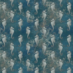 blue seahorse 