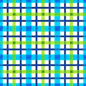  Zesty Lime Windowpane Check 24 x 24 inches