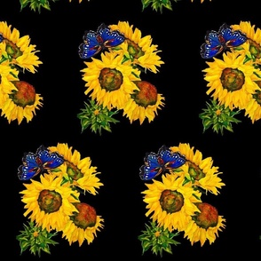 109a.  MINI Blue Butterfly and Sunflowers on Black