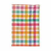 Vintage Checks {Rainbow}