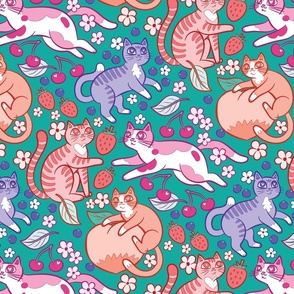 summer fruits cats  in teal