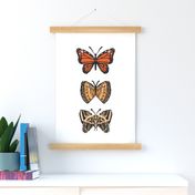 Scientific specimens butterfly wall hanging 
