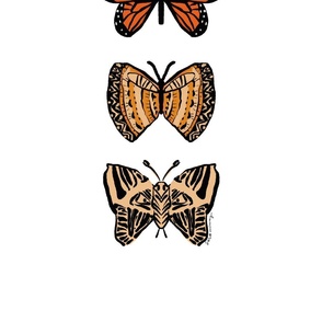 Scientific specimens butterfly wall hanging 